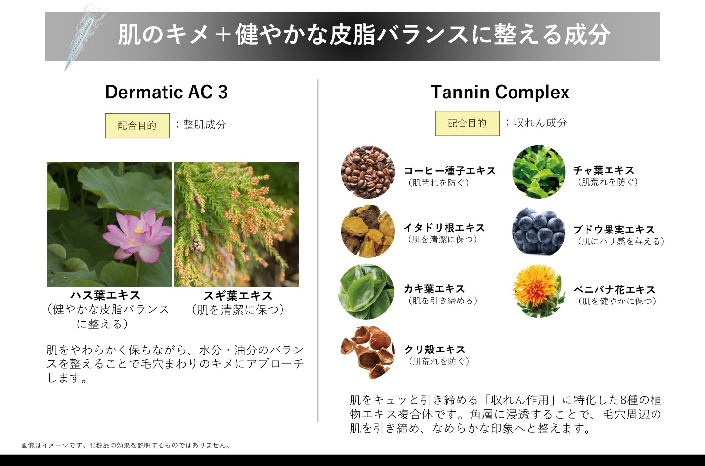 毛穴周りのキメと皮脂バランスを整える成分