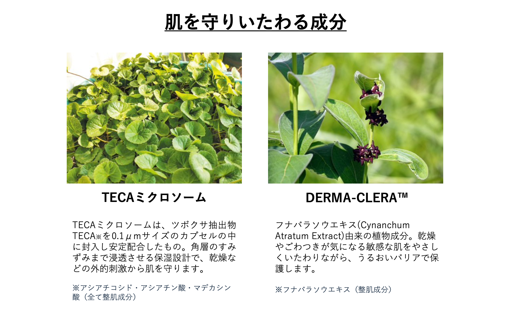 バイアルマスク の主成分(肌を守りいたわる成分)