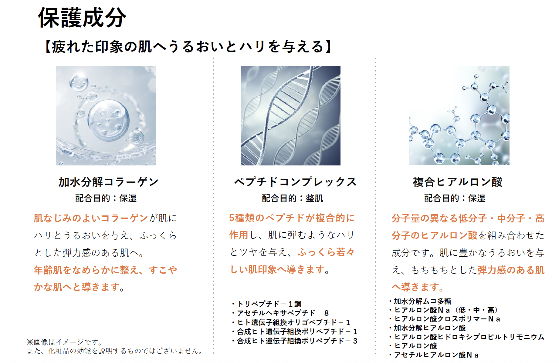 サンセラム の主要成分3