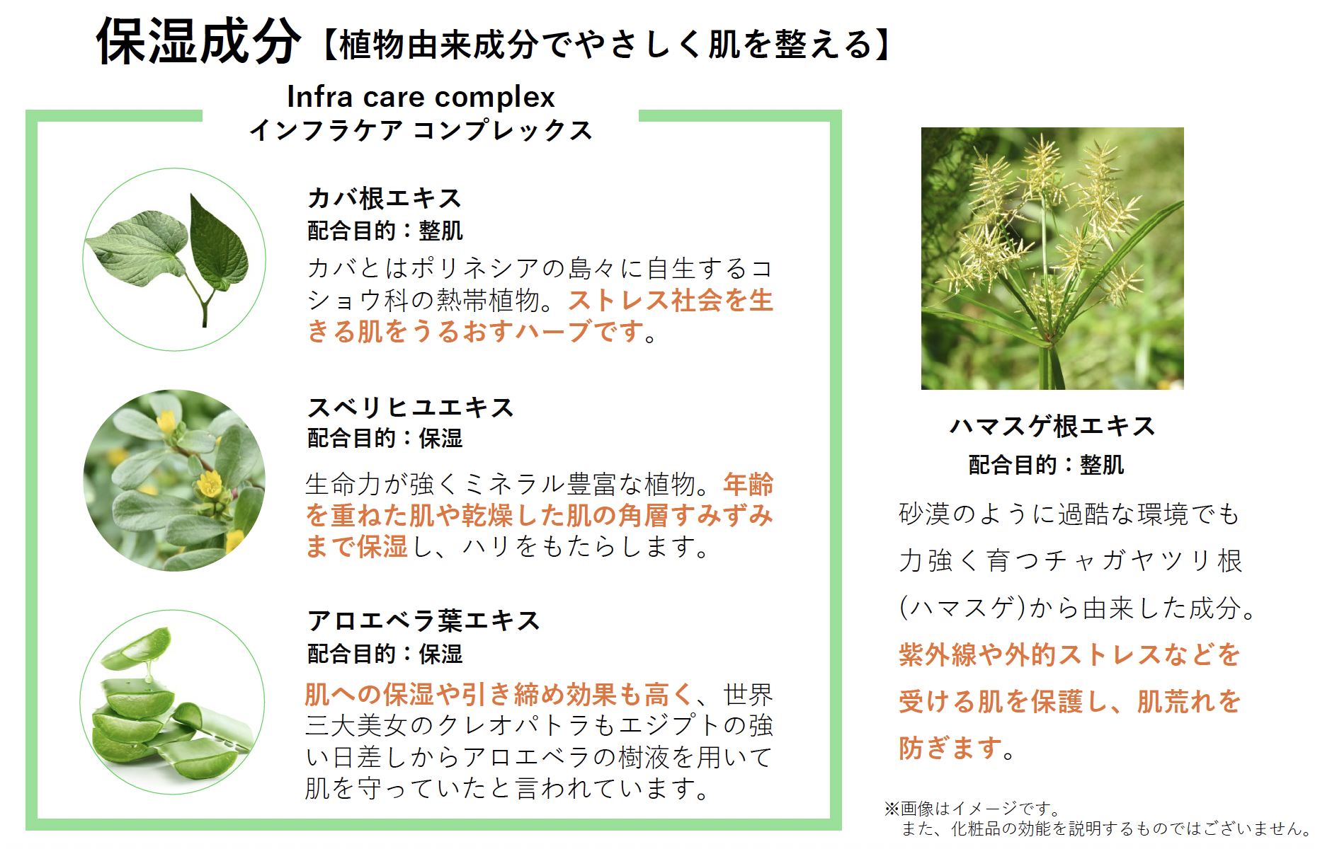 サンセラム の主成分4