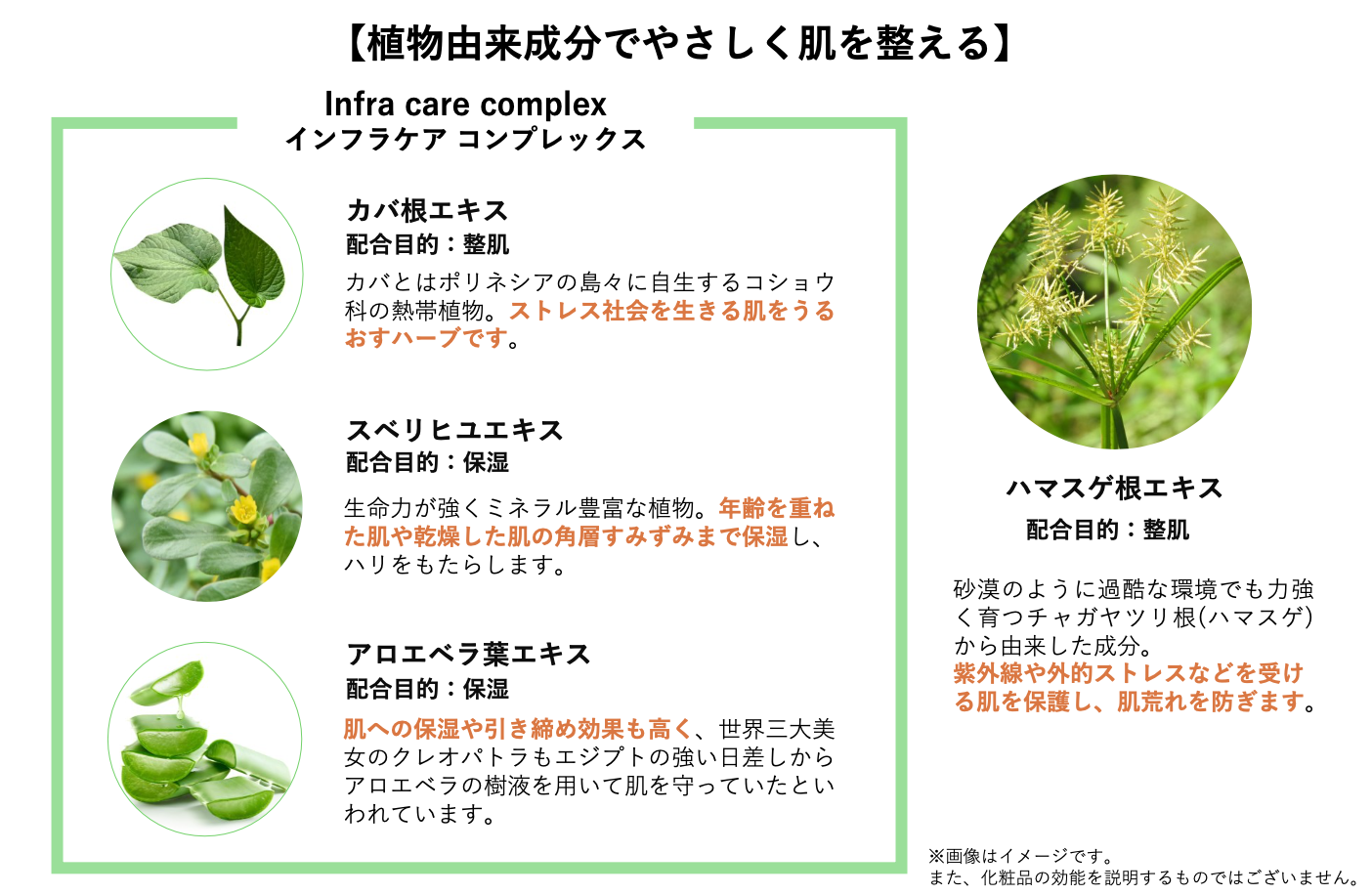 グロウミスト